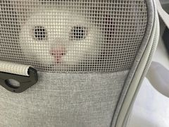 -北京恒爱动物医院(清景园分院)