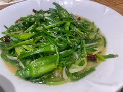 -滇铺子·云南特色菜·第九届野生菌美食节(东风东路c86店)