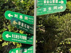 -紫金山山顶公园