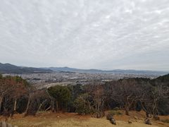 -岚山猴子公园
