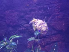 -梦幻海洋王国(吾悦广场张家港店)