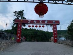 -望湖烤鱼