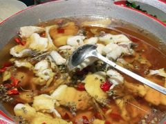 -雲蜀龙阁·金牌水煮鱼(方庄店)