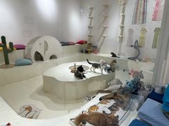 -爱宠屋pet shop·宠物洗澡·宠物美容