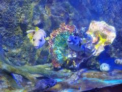 -太平洋海底世界