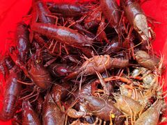 -梁鸿国家湿地公园