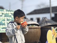 -苏州市吴中区光福窑上花果蜜饯厂