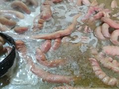 -平安桥张氏肥肠粉