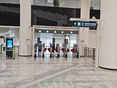 -望京西(地铁站)
