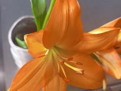 -大董(阜成路店)