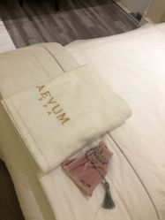 -奥斯芬欧系贵族SPA
