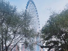 -万泉公园