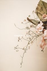 -CHOCO-启蔻婚礼(三亚公司)