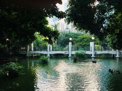-九龙公园