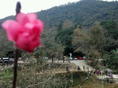 -广州市石门国家森林公园