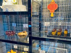 -深圳四季酒店·馥自助餐厅