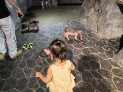 -Zoolung Zoolung动物主题公园(海信广场店)