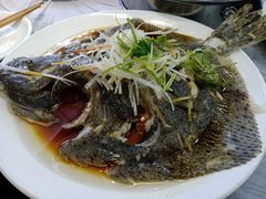 清蒸多宝鱼-京秀缘蒸汽海鲜农家菜大馅蒸饺