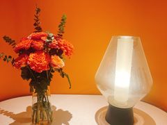 -阿妮叶李(光谷世界城店)