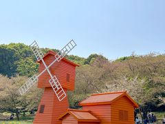 -苏州上方山国家森林公园