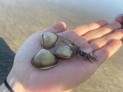 -南汇嘴观海公园