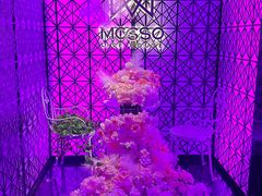 -MOSSO·Liveshow(M3香港广场店)
