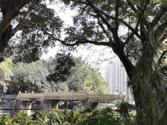 -晓港公园