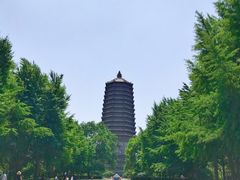 -玲珑塔公园