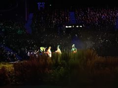 -珠海横琴长隆《卡卡虎奇遇记》