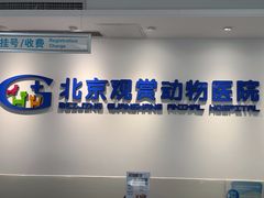 -北京观赏动物医院·24小时大型综合·猫专科·异宠专科