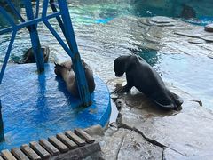 -海合安武汉极地海洋公园