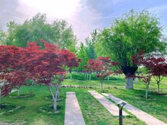 -汉长安城未央宫国家考古遗址公园