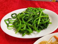 -蛇口康乐快餐鱼仔档(翠苑小区店)