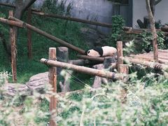 -红山森林动物园