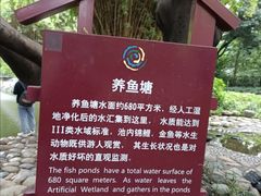 -成都市活水公园