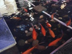 -悦慕·花满溪(新城吾悦店)