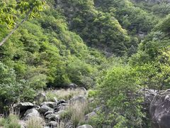 -洛阳白云山景区