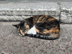 -迎江寺