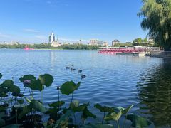 -莲花池公园