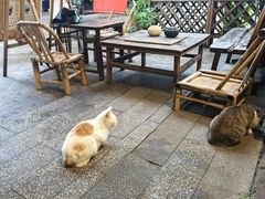 -悟饮门市景店