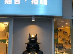 门面-飞行喵MR PILOT|猫舍·猫咖(静安大融城店)