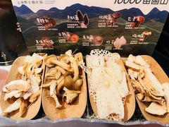 -芸山季·云南野生菌火锅(人民广场来福士店)