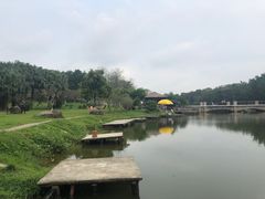 -松山湖梦幻百花洲