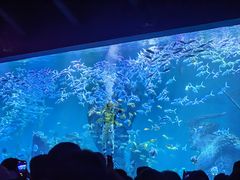 -哈尔滨波塞冬海底世界