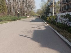 -二一九公园