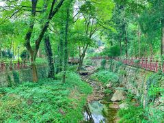 -素山寺森林公园