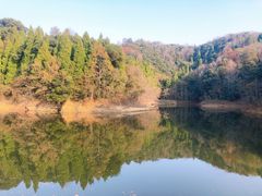 -千岛湖龙川湾
