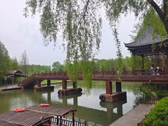 -溱湖国家湿地公园