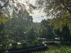 -中山市树木园