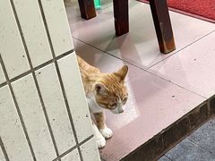 -朱儿面庄(洋河三路店)